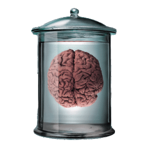 brain-in-a-jar