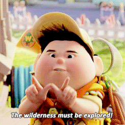 wilderness explorer up pixar