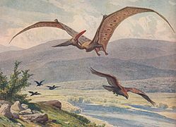 pterosaures archosaures